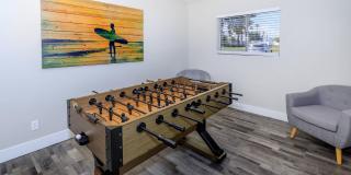 Aster on University Gallery 14