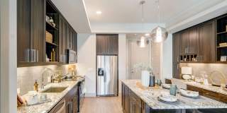 The Cameron Gallery 10