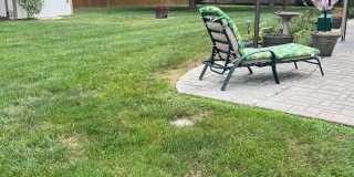 1412 S Fairway Ave Springfield, MO 65804 Gallery 30