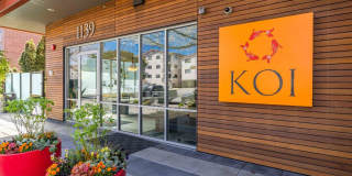 Koi Apartments Gallery 15