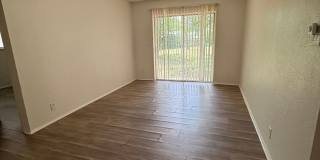 Updated 4-Bedroom Home with Hardwood Floors & Private Backyard in San Antonio Gallery 3
