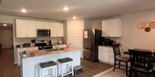 Branch Point S/D Gallery 11