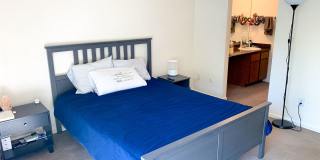 Evergreen Apartments Gallery 33