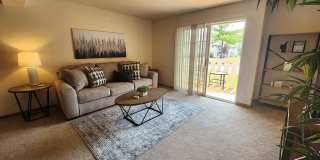 Sun Valley Gallery 6