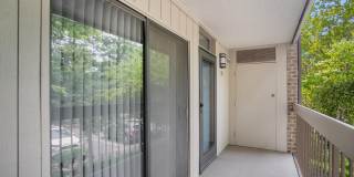 1526 MOORINGS Drive Gallery 4