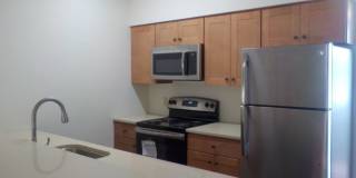 3 Bedroom, 3 1/2 Bathroom Townhouse on Easterly Parkway Gallery 7