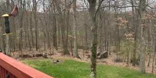 411 Lundy Court Gallery 35