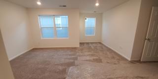 11393 Iron Ore Ct Gallery 12
