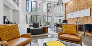 Pearl Dadeland Gallery 16