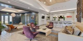7364 MOCKINGBIRD CIR Gallery 49
