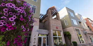 Broadway Place Gallery 3