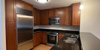 60 E Monroe St Unit 2604 Chicago, IL 60603-2768 Gallery 3