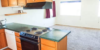 Hard to Find! Pet friendly home with attached garage in Moscow Gallery 14