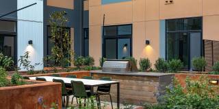 The Frank Gallery 22