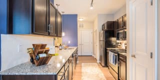 Element Carolina Bay Element Carolina Bay Gallery 28