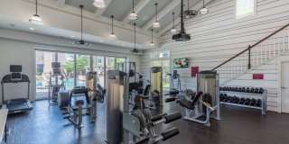 Red Knot at Edinburgh Gallery 27