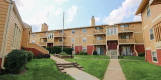 Raintree Apartments Gallery 11