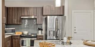 Everleigh Lakeline 60+ Active Adult Apartment Homes Gallery 6
