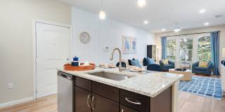 Citra at Windermere Gallery 39