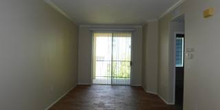 Watermarke Condo 1bed 1 bath Gallery 7