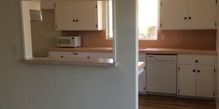 AUGUST 2026 SDSU AREA HOME - 4 bedrooms / 3 bath - With Big yard on Canyon! Gallery 3