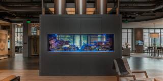 The Belgard Gallery 23