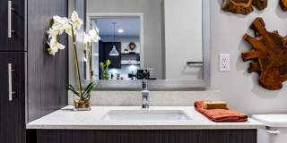 Alta Longwood Gallery 76