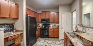 Autumn View Gallery 2