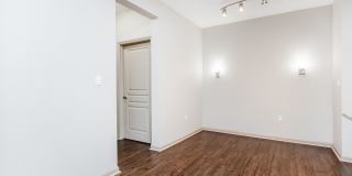 RIZE at Winter Springs Gallery 143