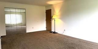 1245 Derby Road Gallery 2