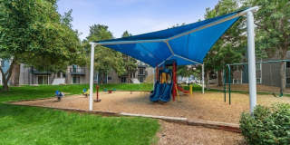 Revive at 9 Mile Station Gallery 26