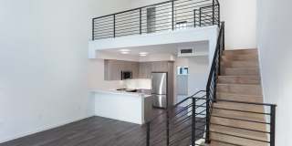 Star Harbor Gallery 14