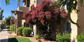 The Falls at Mesa Point Gallery 30