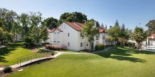 Laurel Creek Gallery 5