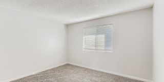 Tempe Vista Gallery 67