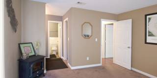 Woodland Trace Gallery 3