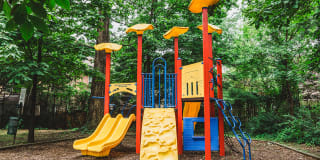 Alister Falls Church Gallery 20