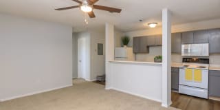 Briarcliff Villas Gallery 63