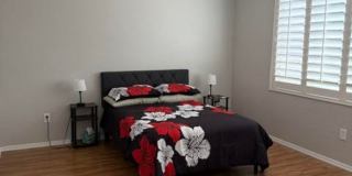 Gorgeous 2Bdrm 2 bath home in Sun City Anthem Gallery 10