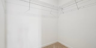 Colina Hillside Gallery 97