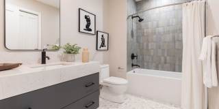 Cadence on Leo Gallery 9