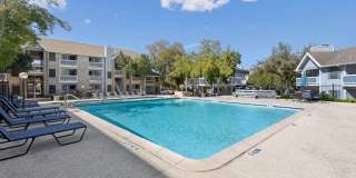 Polo Club Polo Club Gallery 16