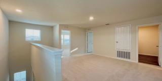 6234 FIELDRUN Gallery 12