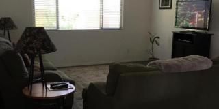 Exquisite Chandler 4 bed 3 bath home with Community Pool!! Gallery 6
