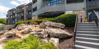 The Falls Gallery 22