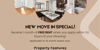 MOVE-IN SPECIAL | Updated 3BR Home in The Grove w/ Finished Basement + Yard Gallery 3