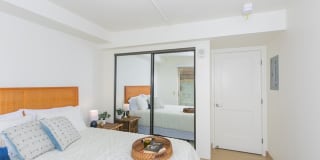 Kanekapolei Collection Gallery 30