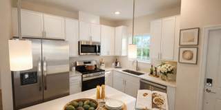 Viva at New Smyrna Beach Gallery 3