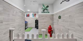 Royal Blue Gallery 17