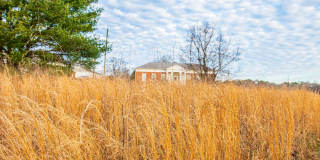 Halo Decatur Gallery 9